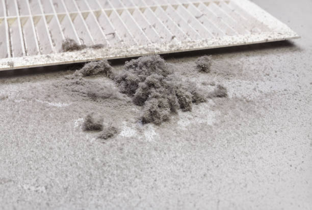 Best General Air Duct Cleaning  in Lancaster, WI