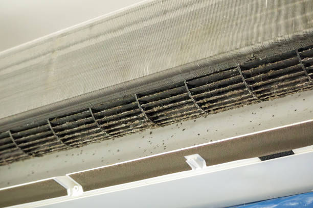 Best Local Air Duct Cleaning Services  in Lancaster, WI
